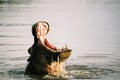 Hippo Yawn Royalty Free Stock Photo