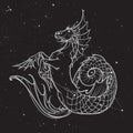 Hippocampus or kelpie mythologic creature. Sketch on a nightsky background. Royalty Free Stock Photo