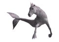 Hippocampus Mermaid's Horse