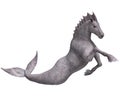 Hippocampus Mermaid's Horse