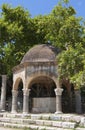 Hippocrates tree at Kos island in Greece