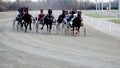 Hippodrome of Modena, Italy, group of trotting racehorses launched towards the finish