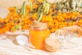 Hippophae cosmetic sea buckthorn oil in a glass bottle with a pipette on a background with a copy space, alternative