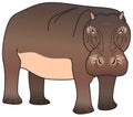 Hippopotamus amphibious vector drawing isolated white background Royalty Free Stock Photo