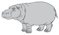 Hippopotamus amphibius or river horse
