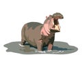 Hippopotamus