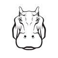 Hippopotamus Face vector hand drawn illustration