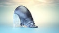 Hippopotamus fallen on an ice cube