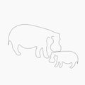 Hippopotamus family on white background vector