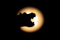 Hippopotamus head shadow with bright light in back Royalty Free Stock Photo