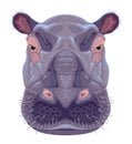 Hippopotamus head, vector isolated animal