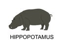 Hippopotamus, hippo vector illustration isolated on white