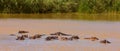 ISimangaliso Wetland Park near St. Lucia,  KwaZulu-Natal, South Africa Royalty Free Stock Photo