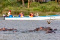 Hippopotamus in Lake Naivasha against boat with tourists. Tourism in Kenya
