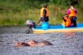 Hippopotamus in Lake Naivasha against boat with tourists. Tourism in Kenya