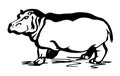 Hippopotamus line drawing