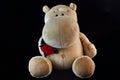 Hippopotamus plush holding a red rose on a black background, romantic gift Royalty Free Stock Photo