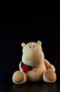 Hippopotamus plush holding a red rose on a black background, romantic gift Royalty Free Stock Photo