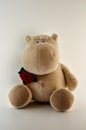 Hippopotamus plush holding a red rose on a white background, romantic gift Royalty Free Stock Photo