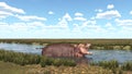 Hippopotamus in a river landscape