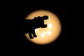 Hippopotamus shadow with bright light in back Royalty Free Stock Photo