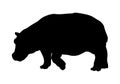 Hippopotamus vector illustration black silhouette Royalty Free Stock Photo