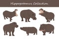 Hippopotamus vector illustration set. Hippopotamus cartoon character. Royalty Free Stock Photo