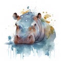 Hippopotamus, watercolor illustration, hand drawn, vector