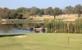 Hippopotamuses on Skukuza golf course in Kruger National Park Royalty Free Stock Photo