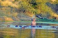 Hippos Expressing dominance Royalty Free Stock Photo