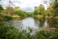 Hippos in the water, Mzima Springs Kenya