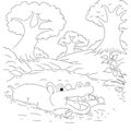 Hippotamus outline cartoon colouring page