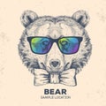Hipster animal bear. Hand drawing Muzzle of bear Royalty Free Stock Photo