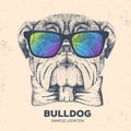 Hipster animal bulldog. Hand drawing Muzzle of animal dog