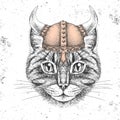 Hipster animal cat wearing a viking helmet. Hand drawing Muzzle of cat Royalty Free Stock Photo