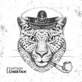 Hipster animal cheetah captain`s cap and smoking pipe. Hand drawing Muzzle of cheetah