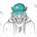 Hipster animal cheetah dressed in cap like rapper. Hand drawing Muzzle of cheetah