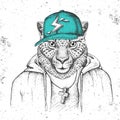 Hipster animal cheetah dressed in cap like rapper. Hand drawing Muzzle of cheetah