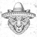 Hipster animal cheetah wearing a sombrero hat. Hand drawing Muzzle of cheetah