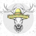 Hipster animal deer wearing a sombrero hat. Hand drawing Muzzle of deer