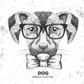 Hipster animal dog. Hand drawing Muzzle of dog