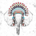 Hipster animal elephant with indian feather headdress. Hand drawing Muzzle of animal elephant