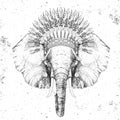 Hipster animal elephant with indian feather headdress. Hand drawing Muzzle of animal elephant