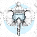 Hipster animal elephant in winter hat and snowboard goggles. Hand drawing Muzzle of elephant Royalty Free Stock Photo