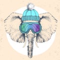 Hipster animal elephant in winter hat and snowboard goggles. Hand drawing Muzzle of elephant