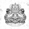 Hipster animal frog in crown. Hand drawing Muzzle of frog Royalty Free Stock Photo