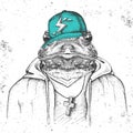 Hipster animal frog dressed in cap like rapper. Hand drawing Muzzle of frog Royalty Free Stock Photo