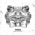 Hipster animal frog. Hand drawing Muzzle of frog Royalty Free Stock Photo