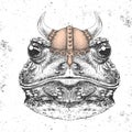 Hipster animal frog wearing a viking helmet. Hand drawing Muzzle of frog