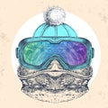 Hipster animal frog in winter hat and snowboard goggles. Hand drawing Muzzle of frog